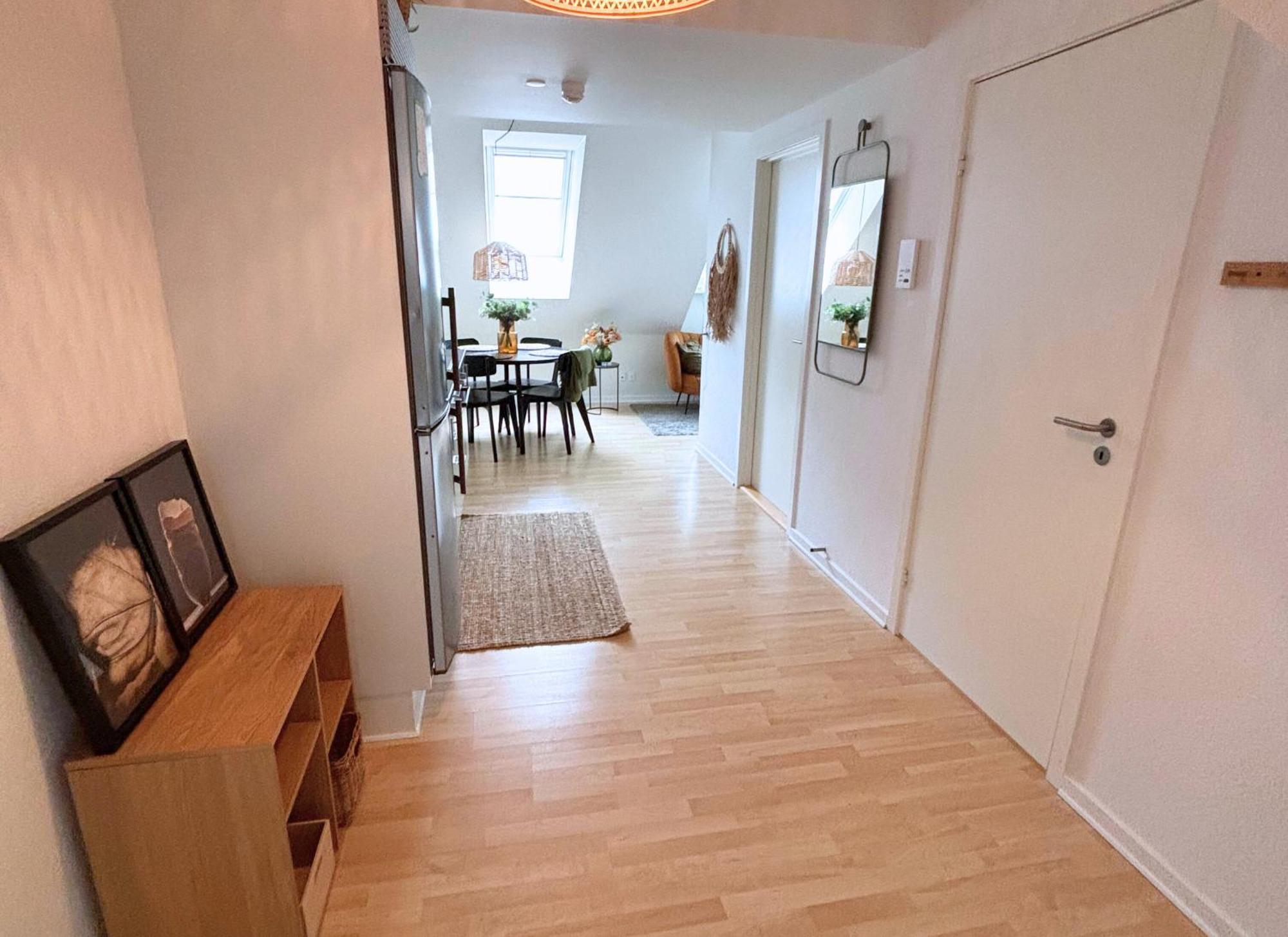 Charmerende Taglejlighed Odense